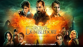 Fantastic Beasts The Secrets of Dumbledore